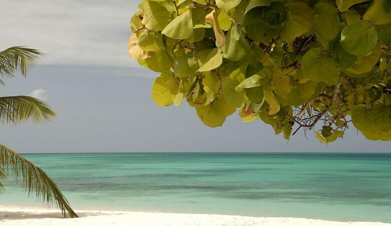 Posada Bequeve Los Roques