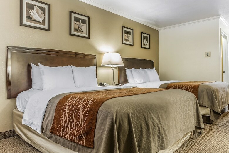 Hotel Comfort Inn Santa Cruz