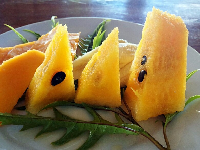 Apartamento Tanna Evergreen Resort & Tours