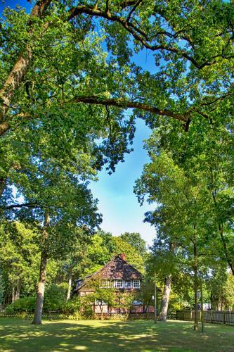 Hostal Landgasthof Drei Linden