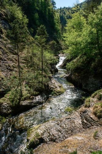 Hotel-gasthof Mauth�usl