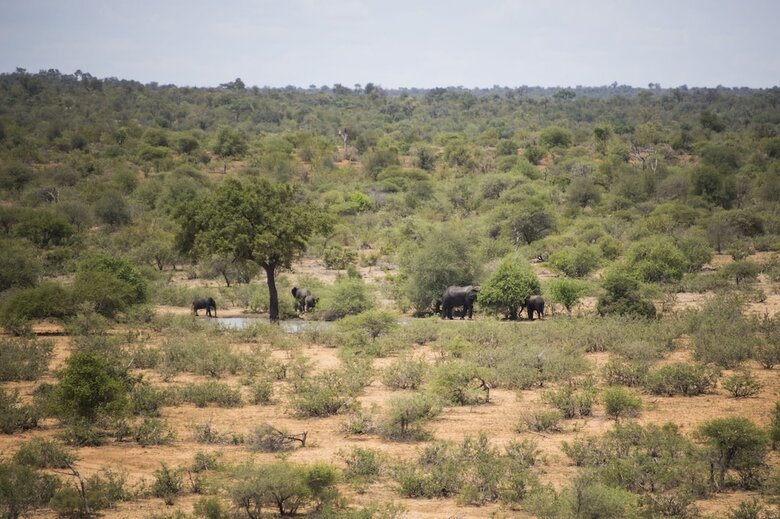 Posada Amani Safari Camp