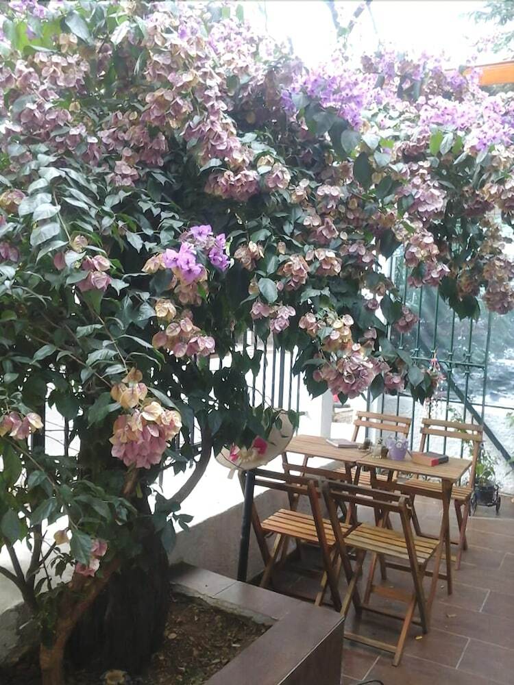 Pension Orhan Kutbay'in Evi Turyolu Cafe Pansiyon