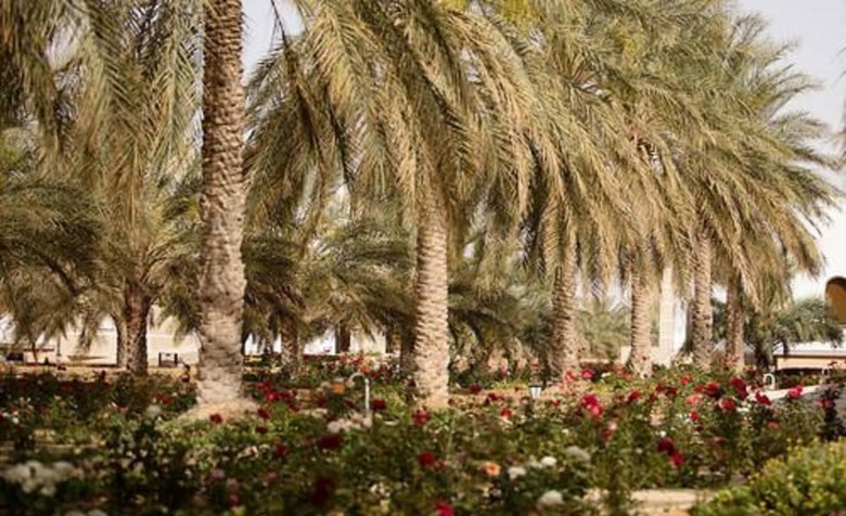 Hotel La Gazelle D'or Resort & Spa
