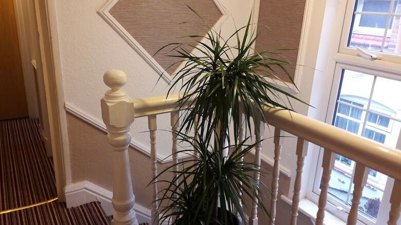 Hotel Glenfield Lodge Guest House