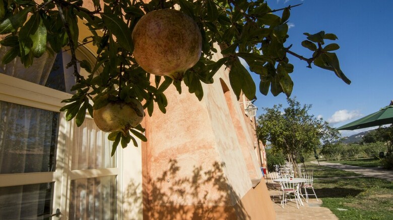 Apartamento La Beccanina Country Resort