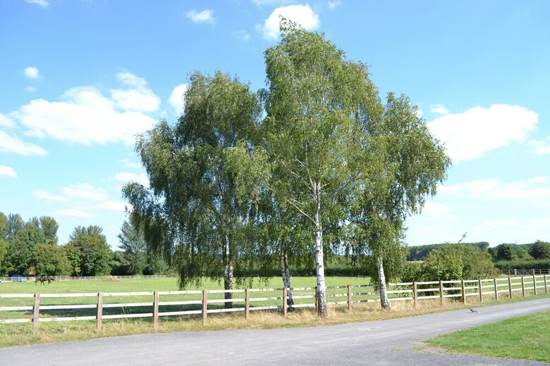 The Pool House At Upper Farm Henton