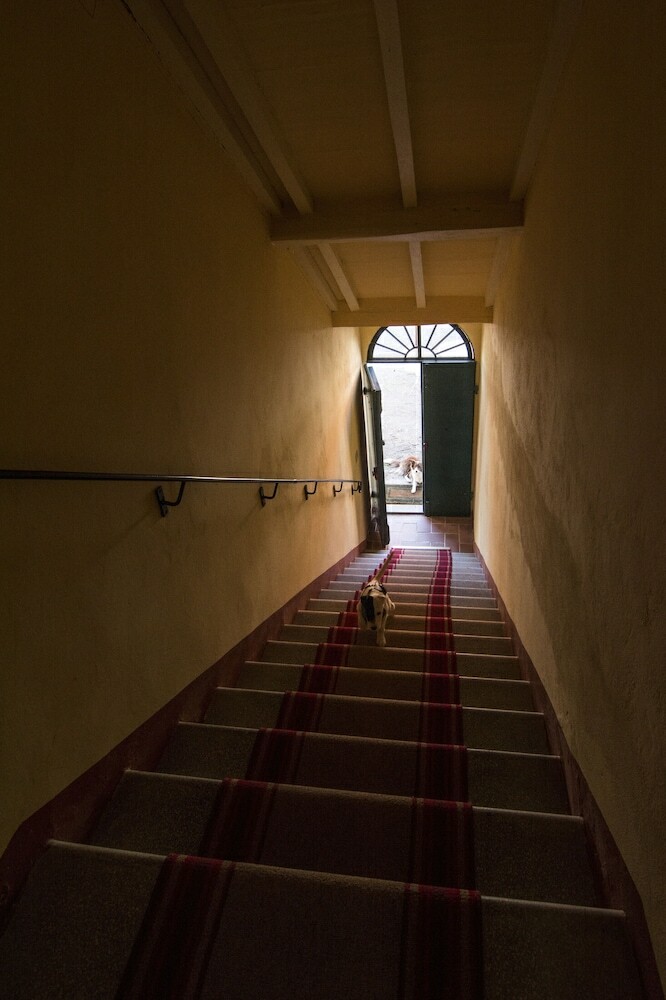 Hotel Tenuta Col Di Sasso