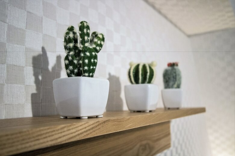 Apartamentos Petit Grande Homes