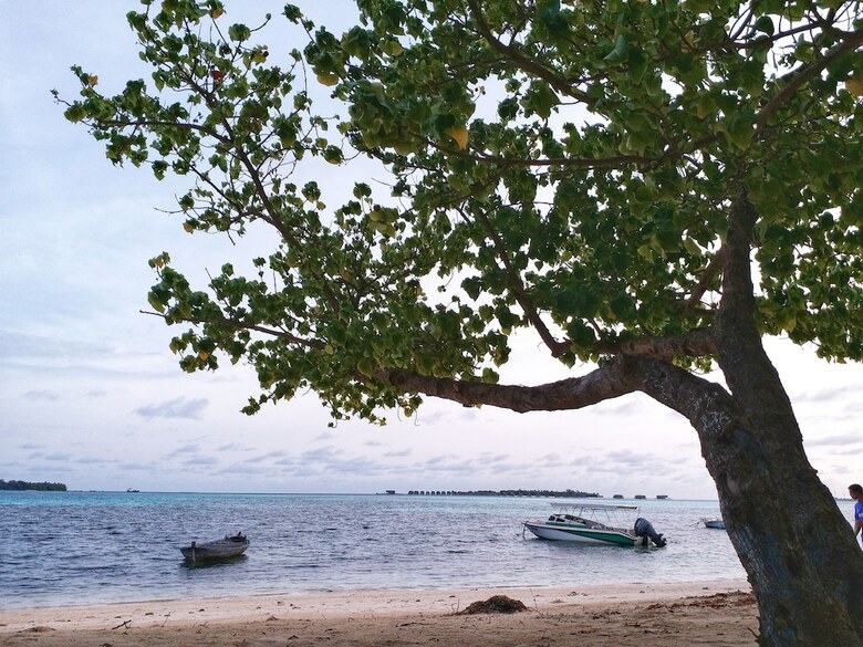 Hotel Medhufaru Inn