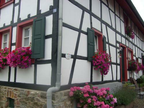 Apartamentos Ferienwohnung D�rbaum