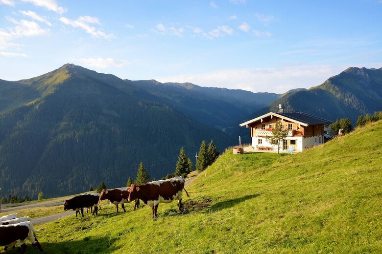 Alpine Premium Chalet Wallegg-lodge