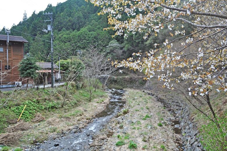 Hotel Nature Resort In Shimanto