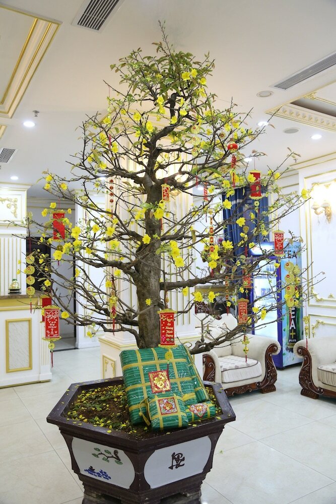 Tuyet Son Hotel