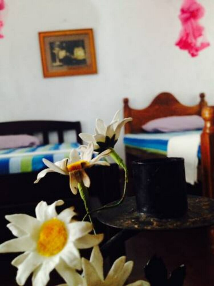 Bed & Breakfast Manik Home Stay