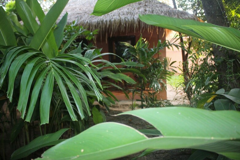 Hotel Botanica Guesthouse