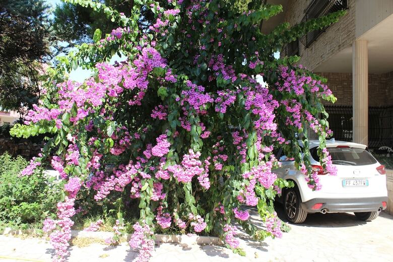 Bed & Breakfast Villa Wanda - Residenza Di Charme