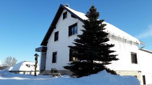 Apartamento Ferienwohnung Hauptmann