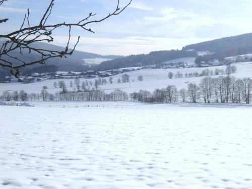 Hostal Gasthof-pension-kraus