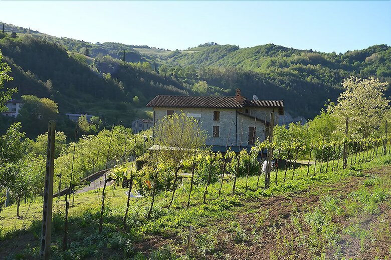 Agroturismo Agriturismo Campo Rosso