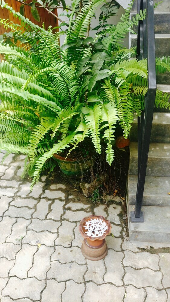 Hotel Aluthgedara Guest House