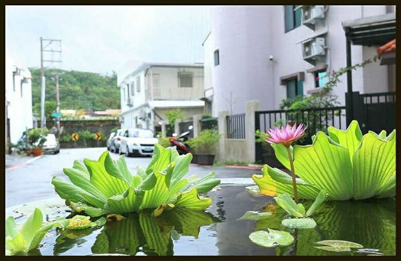 Hotel Happiness Is Coming (sunwater)