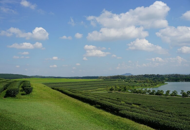 Hotel Singha Park Chiang Rai Camping