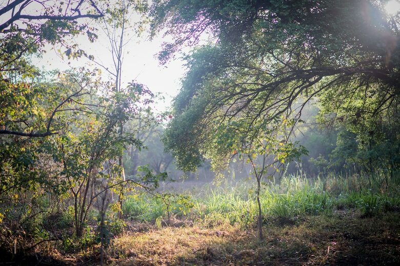 Hotel Apsaras Resort Sigiriya