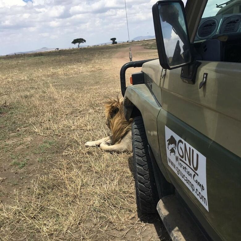 Posada Gnu Ndutu Camp