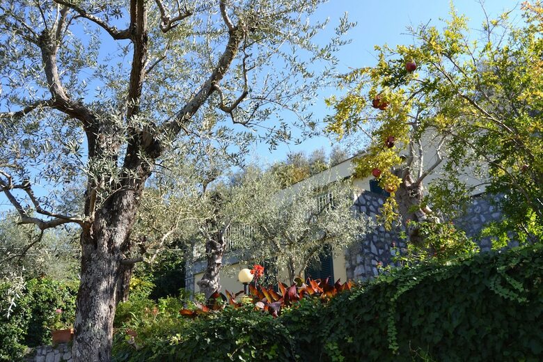 Apartamento Casa Degli Ulivi
