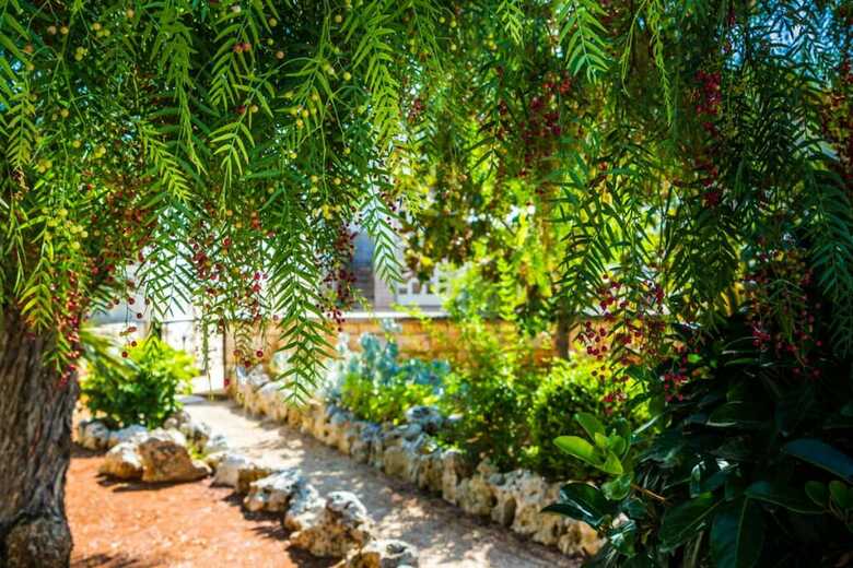 Apartamento Trullo Cittadino