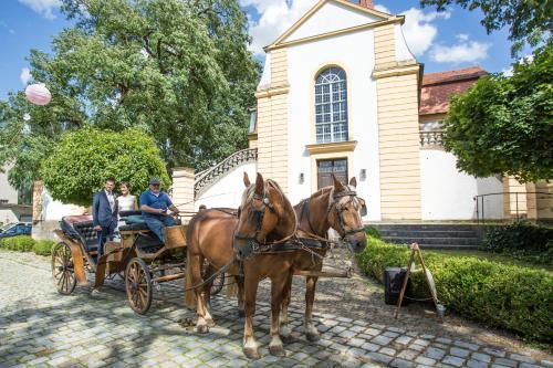 Agroturismo Hotel Reiterhof-altm�hlsee