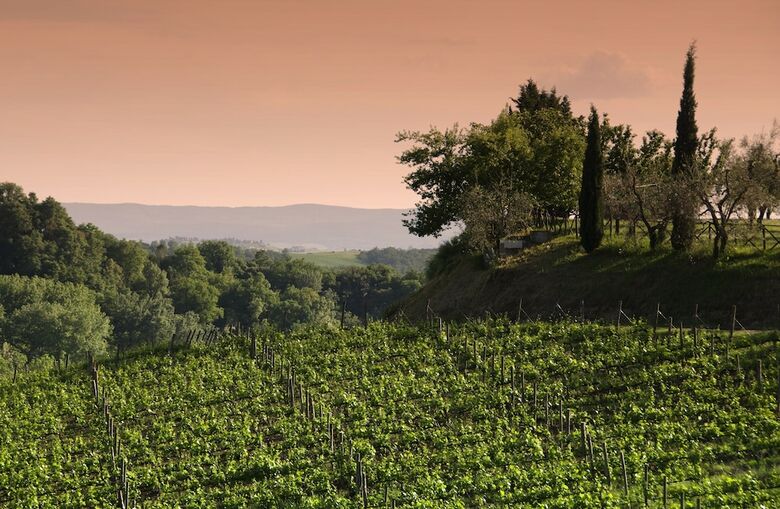 Agroturismo Agriturismo Poggio Bonelli