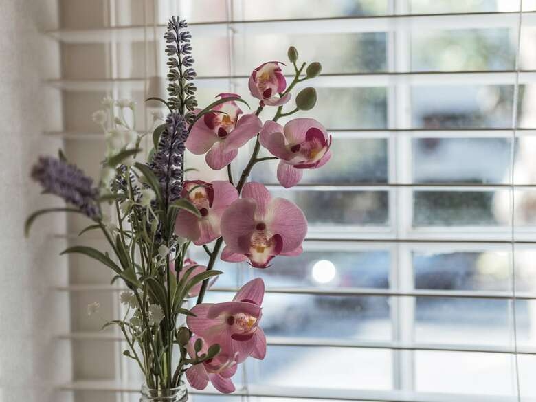 Apartamentos The Eamon Develara Suite - Hiphipstay