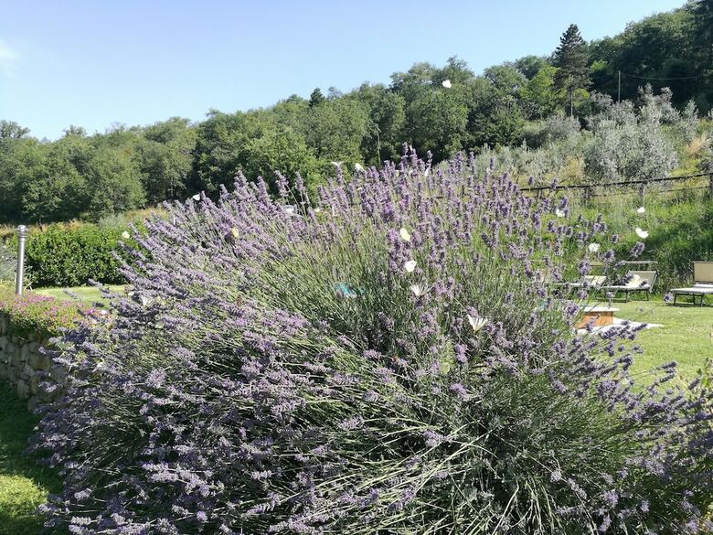 Agroturismo Eremo Di Milingo
