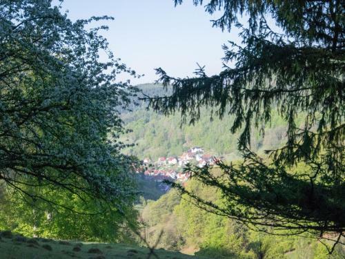 Spacious Holiday Home In Unterschonau Near Forest