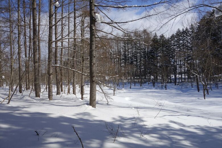 Hotel Nest At The Trees, Niseko
