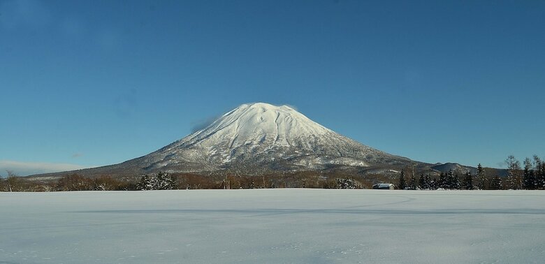 Hotel Nest At The Trees, Niseko