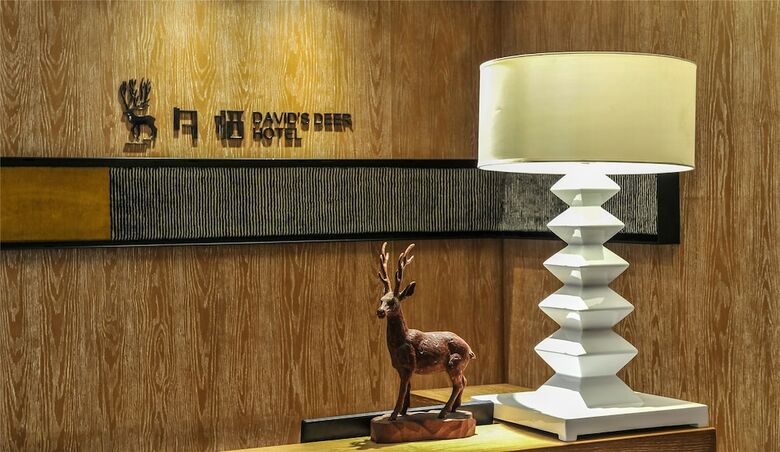 Chongqing David?s Deer Boutique Hotel