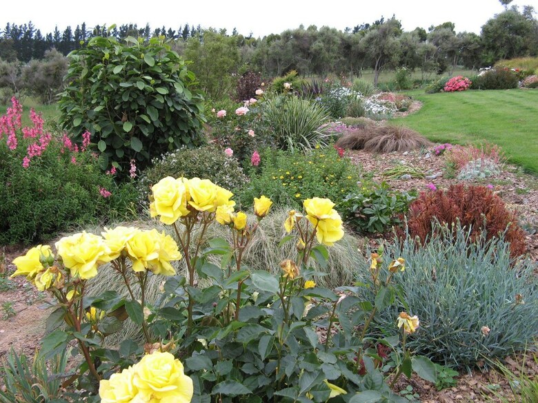Bed & Breakfast Beaconsfield Homestay