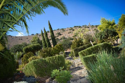 Elounda Theo Villa
