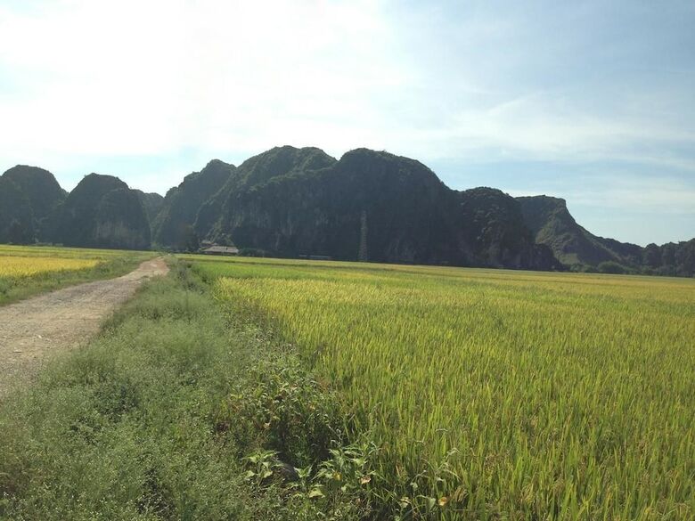 Hotel Tam Coc Homestay