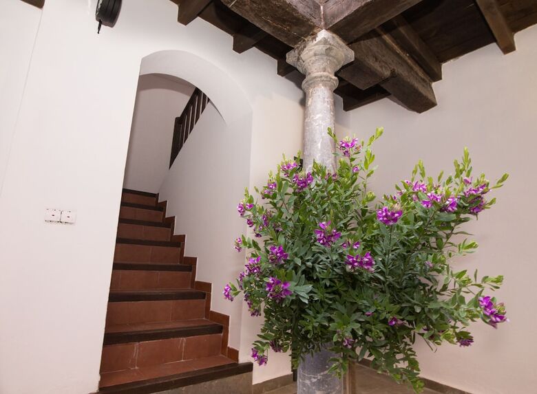 Apartamentos Nahira Suites 3000