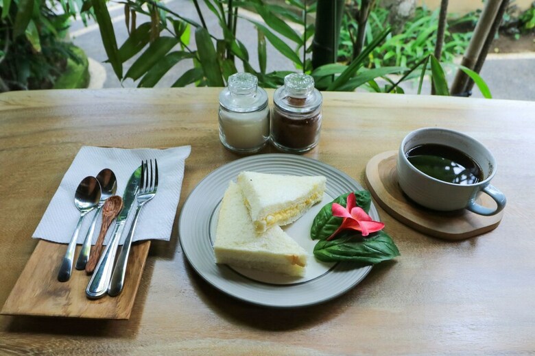 Hotel Wayan Homestay Sanur