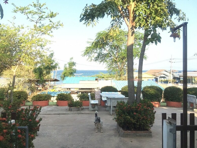 Hotel Insook Ko Larn Guesthouse