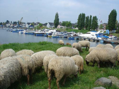 Hostal Rheinriver Guesthouse - Art Hotel