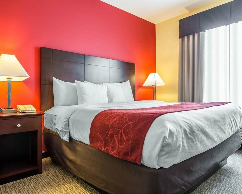 Hotel Comfort Suites Rock Hill