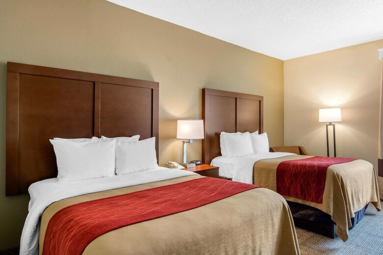Hotel Comfort Inn Chester - Richmond South