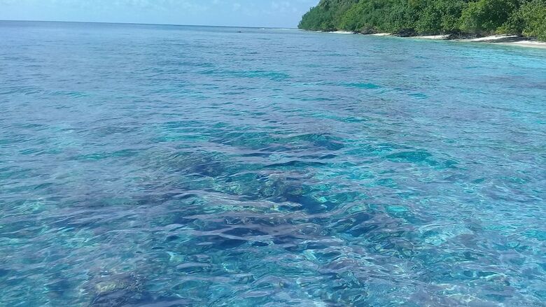 Bed & Breakfast Chill Holiday Maldives