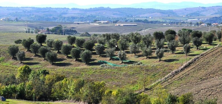 Agroturismo Montecristo Country House
